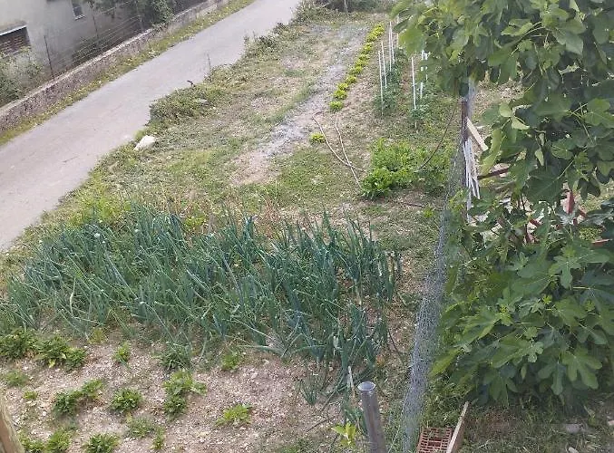 Misljen Apartmants * Zára